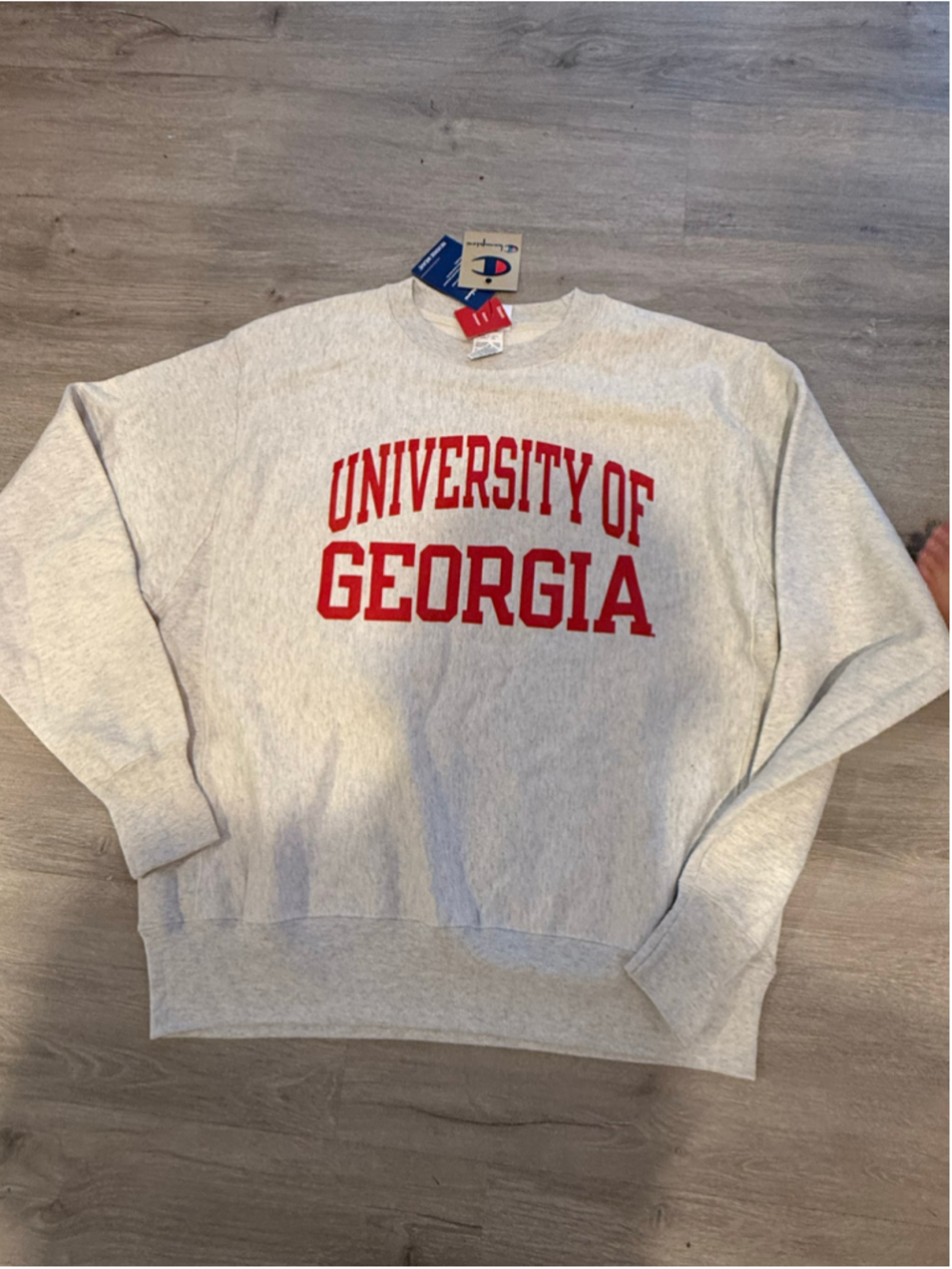 Men's Champion reverse weave University of Georgia Sweatshirt Grey Red Size L
